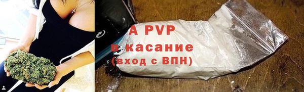 гидра Калач