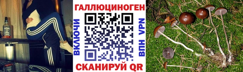 Галлюциногенные грибы Magic Shrooms  MEGA ссылки  Партизанск 